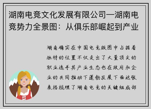 湖南电竞文化发展有限公司—湖南电竞势力全景图：从俱乐部崛起到产业新浪潮浪潮