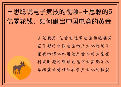 王思聪说电子竞技的视频-王思聪的5亿零花钱，如何砸出中国电竞的黄金时代？